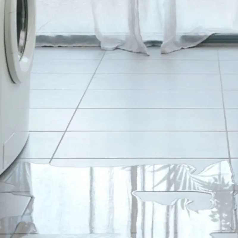 Appliance Leak Cleanup in Davis, CA